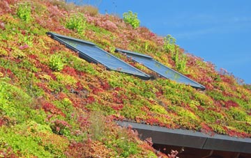 Bednall living roof systems